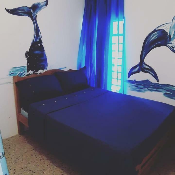 Hostal Aquarium Cartagena Dış mekan fotoğraf